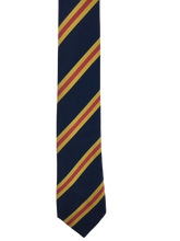 Load image into Gallery viewer, Claverham Ties in house colours
