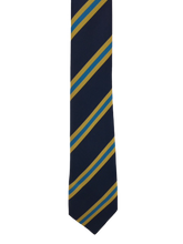 Load image into Gallery viewer, Claverham Ties in house colours