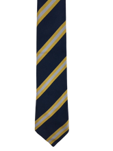 Load image into Gallery viewer, Claverham Ties in house colours