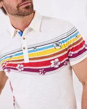 Load image into Gallery viewer, Joe Browns Nod to Nostagia Short Sleeve Polo Shirt