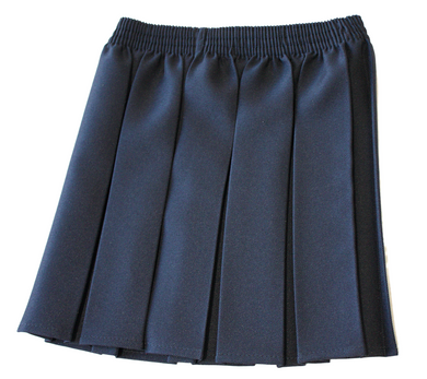 Navy Box Pleat Skirt