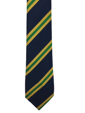 Claverham Ties in house colours