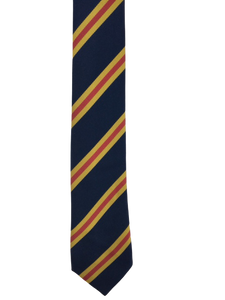 Claverham Ties in house colours