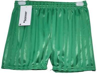 Banner Emerald Shadow Stripe Gym Shorts